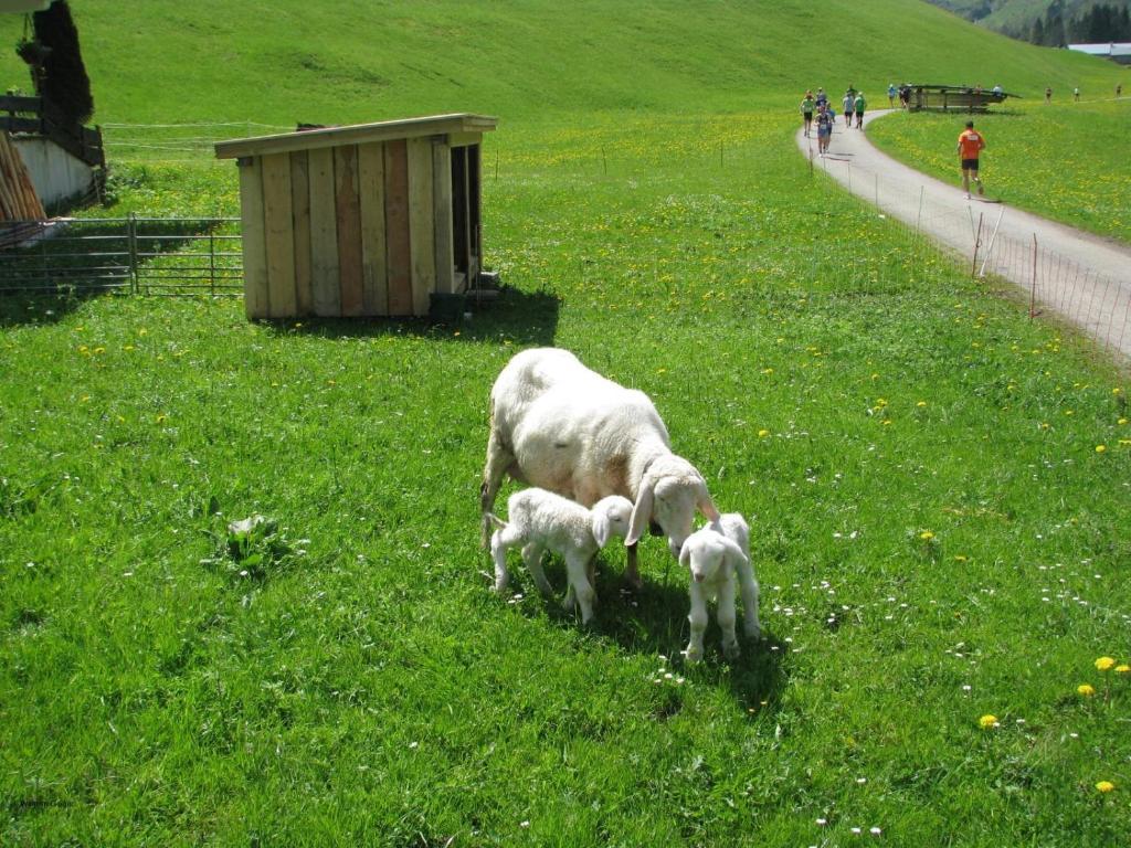 Mountain Hostel Oberstdorf Exterior photo